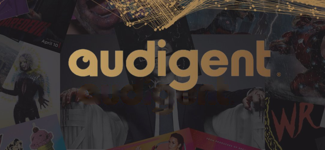 SLR Digital Finance Closes $5 Million Credit Facility for Audigent, the leading Data Curation Platform